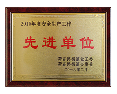 公司实力